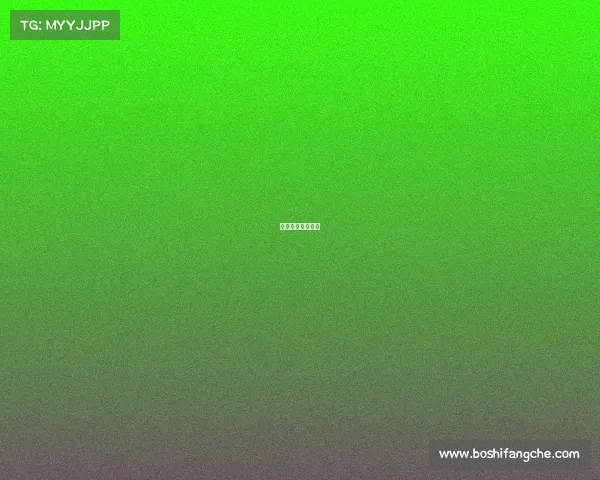 国际马拉松锦标赛